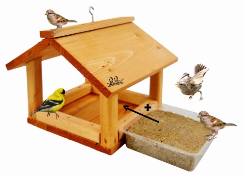 20201205_171521x (1) (1).jpg