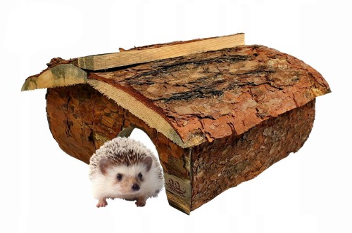 HDJ2.jpg