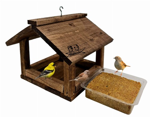 20201205_171009x (1).jpg