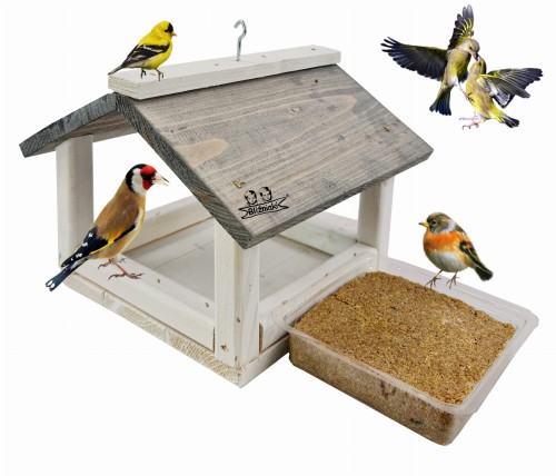 20201205_171753x (1).jpg