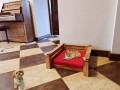 20220204_092546.jpg