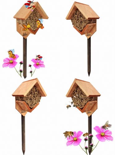 Bez nazwy-2 (3) (1).jpg