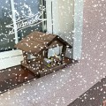 20191227_175441.jpg