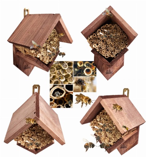 Bez nazwy-2 (3) (1) (3).jpg