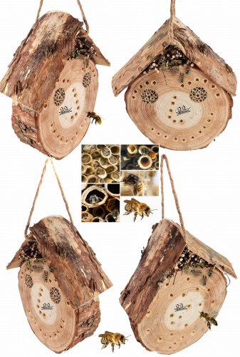 Bez nazwy-2 (3) (1) (2) (1) (2).jpg