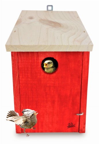 Bez nazwy-2 (3) (1) (1) (1) (1) (1).jpg