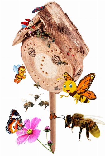 Bez nazwy-2 (3) (1) (1) (3) — kopia.jpg