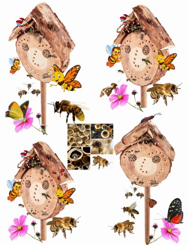 Bez nazwy-2 (4) (1) (1) — kopia.jpg