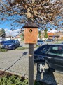20220410_164448.jpg