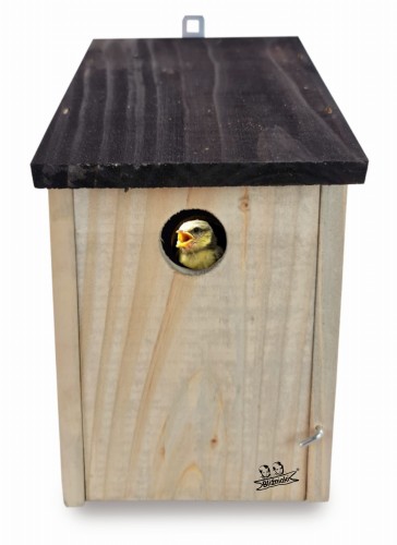 Bez nazwy-2 (3) (1) (1) (1) (1) (1).jpg