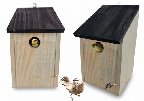 Bez nazwy-2 (4) (1).jpg