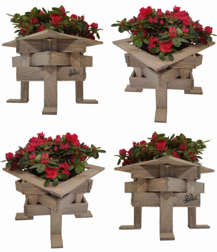 Bez nazwy-2 (3) (1) (1) (1) (2).jpg