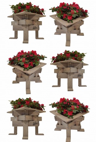 Bez nazwy-2 (3) (1) (1) (1) (1).jpg