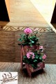 20190504_210417.jpg