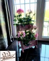 20190504_210553.jpg
