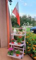 20200824_112502.jpg
