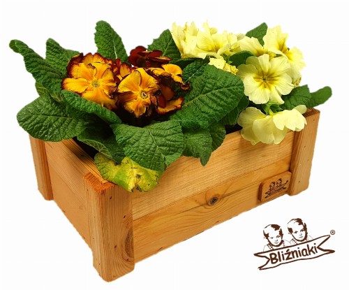 20190326_151717 (1) — kopia.jpg