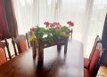 20190607_115450.jpg