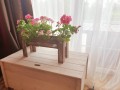 20190607_115512.jpg