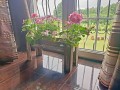 20190607_115649.jpg