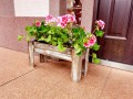 20190607_121604.jpg