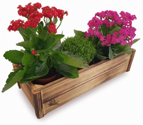 Bez nazwy-2 (4) (1).jpg