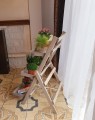 20200823_184555.jpg