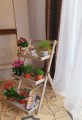 20200823_184611.jpg