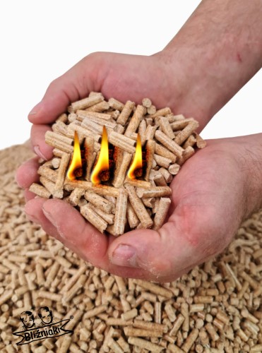 Bez nazwy-2 (3) (1) (1) (1) (2).jpg