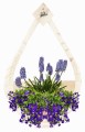 Polish_20230421_131213310.jpg