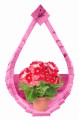 Polish_20230424_155344070.jpg