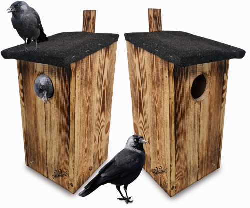 Bez nazwy-2 (4) (1) (1) (2).jpg