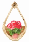  Dekoracyjny Kwietnik Kosz Na Kwiaty Koszyk Geranium Wiszące Lobelia Wiszący na Kwiaty Doniczkowe Donica KOSZ1 N