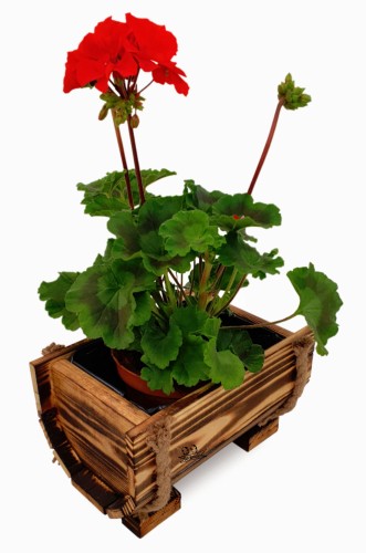 Bez nazwy-2 (4) (1) (1) (3).jpg