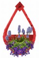 Polish_20230428_161728417.jpg