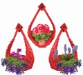 Polish_20230428_162130364.jpg