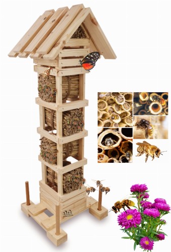 INS85 N zdjecie glowne.jpg