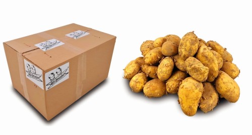 11e53c2f48cba277986fed358862168d