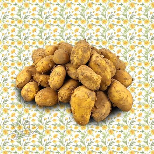 4b059b9135d068eb20713bbf28ea1a3d