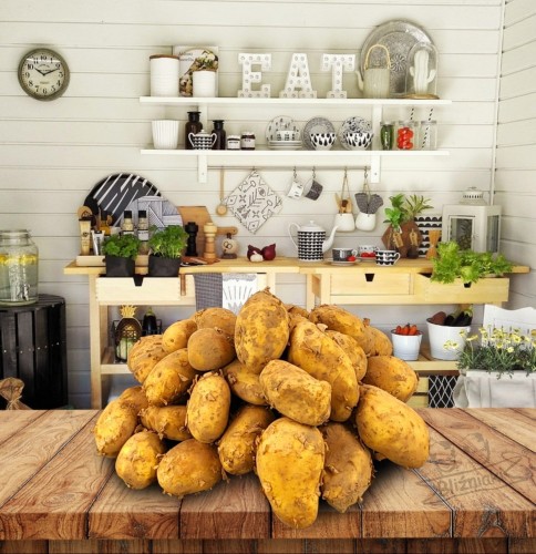 863efe10e602e29b4c694e8387a0937f