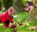 Domek dla Wiewiórki w Parku.jpg