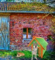 NFGJFGCJ.jpg