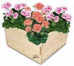 Donice drewniane na pelargonie Kwadratowa doniczka Doniczki kwietnik DPK1 N