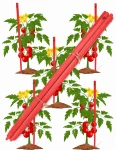 Palik drewniany Paliki na pomidory tyczka palik geodezyjny Podpora do roślin Palisada Ogrodowa Rolborder płotek Kołek ostrzony Ogrodzenie Drzewek PALIK1 CB
