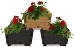 Donica prosta pojemniki na kwiaty pelargonie KASKADA3 CZ DEB CZ
