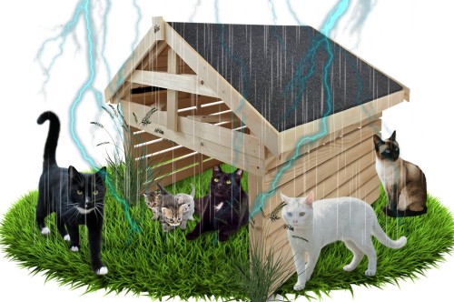 RTYRTYRTUYRY.jpg