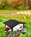 InCollage_20251002_180341013.jpg