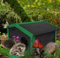 InCollage_20251002_161924574.jpg