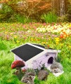 InCollage_20251002_175743589.jpg