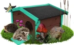 Jeżówka drewniana Domek dla JEŻA XXL Drewniany ECO dom legowisko schronienie dla JEŻY solidny  HDJ10 O MR